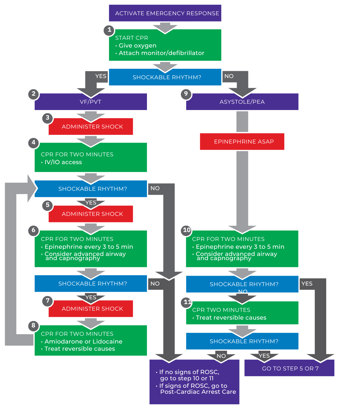 Adult Cardiac Arrest Algorithm