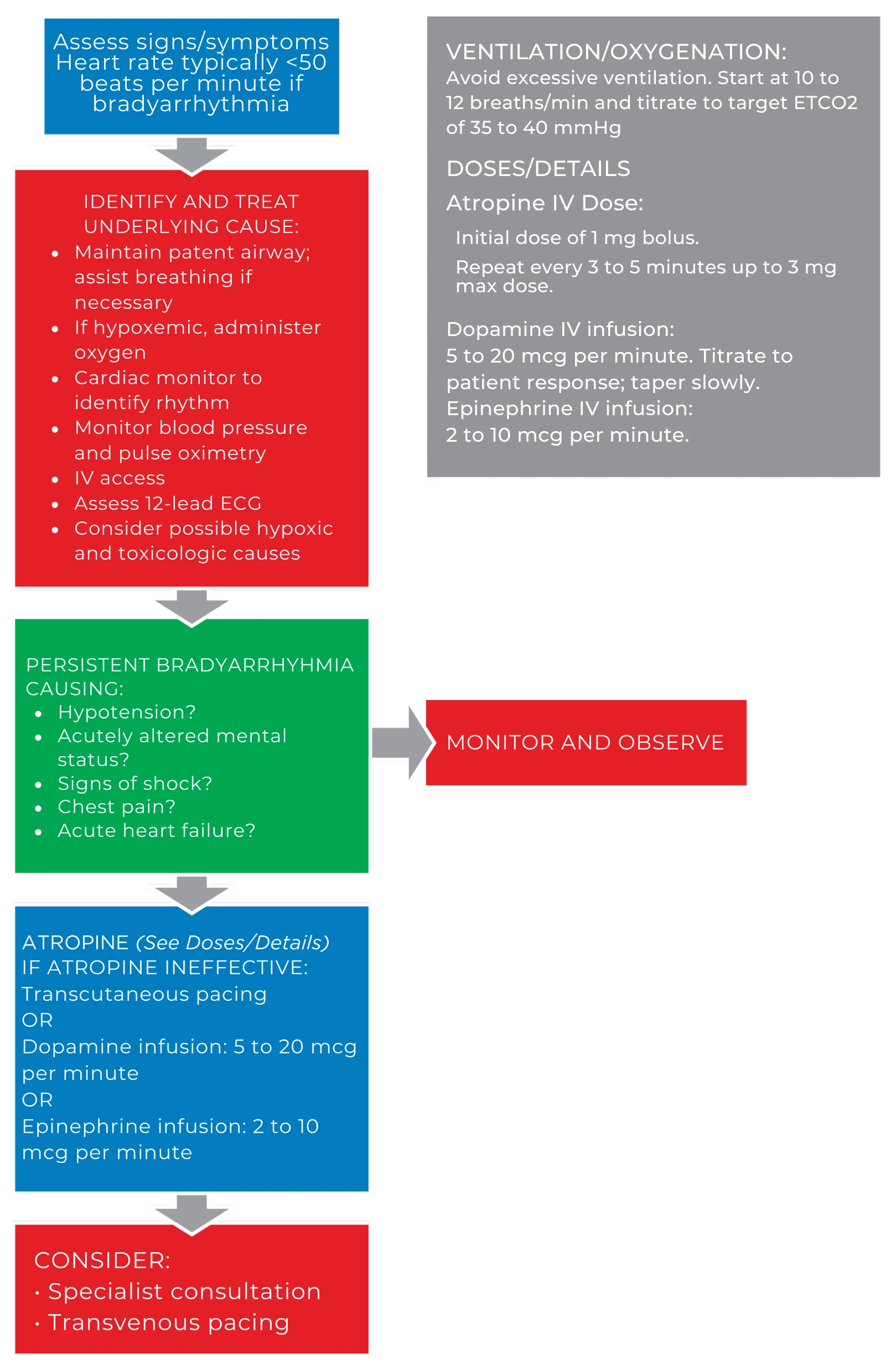 Image (Figure 34)