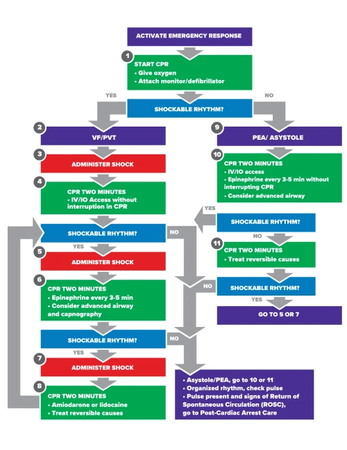 Figure 16