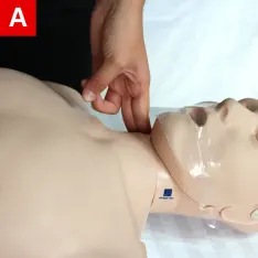 Check for the carotid pulse on the side of the neck