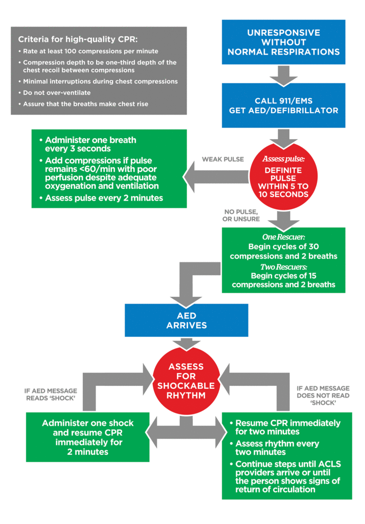 pediatric bls algorithm Pediatric bls algorithm diagram