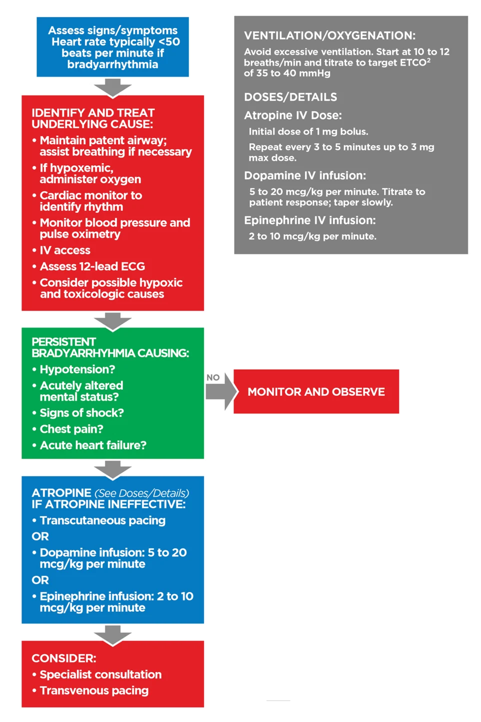 Figure 36 - Adult Bradycardia with Pulse Algorithm